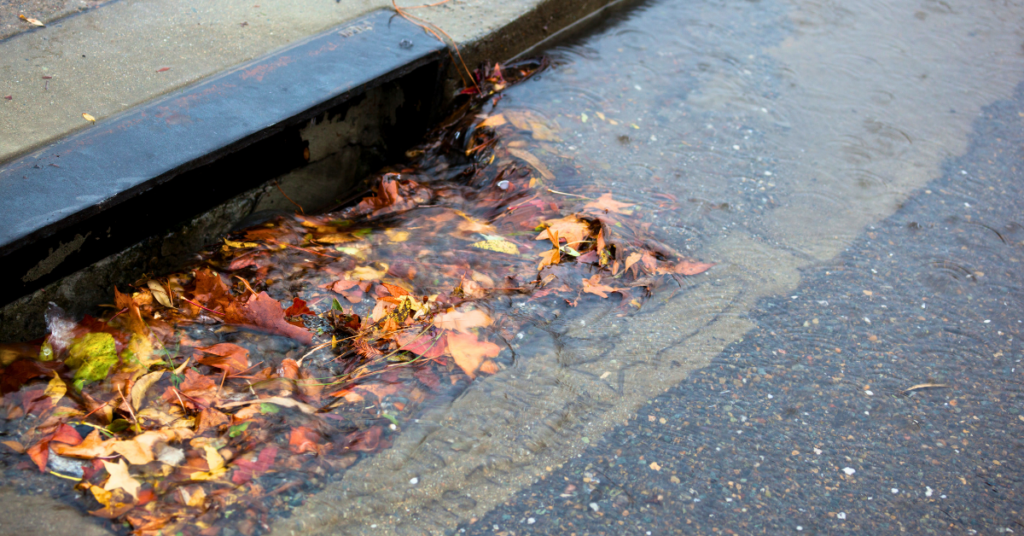 Storm drain collecting leaves in heavy rain